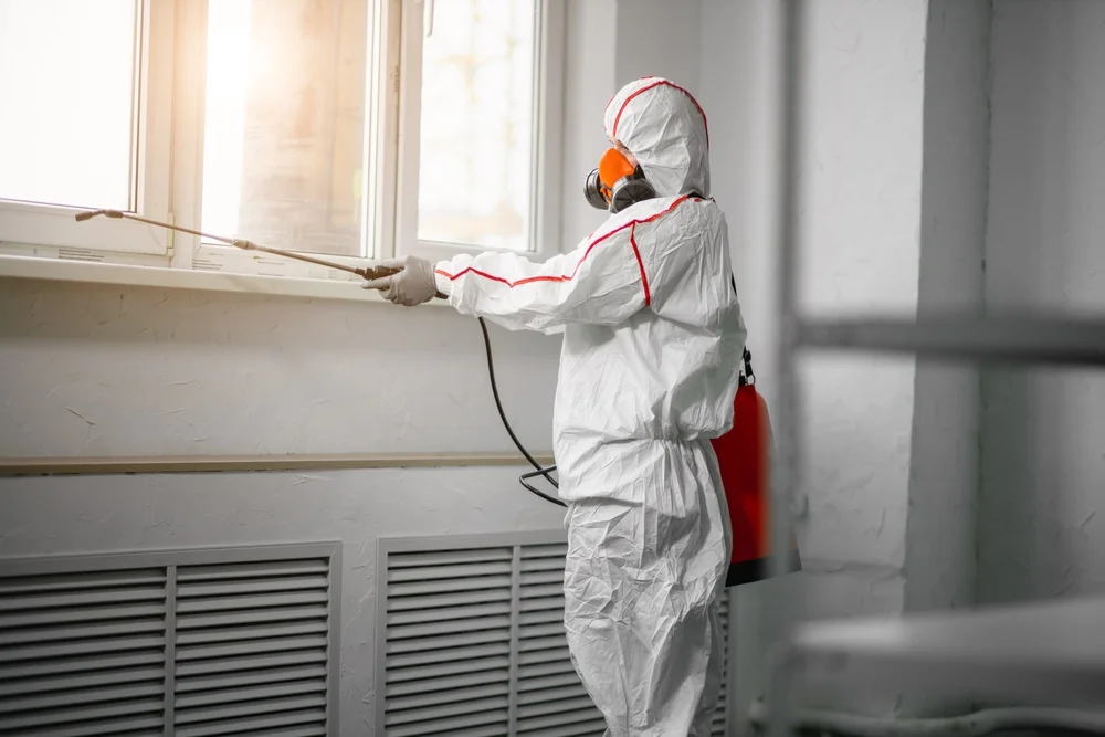Professional mold remediation services in Windsor Heights, WV